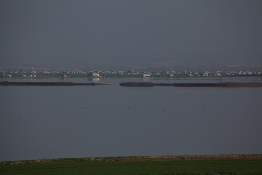 sami ajouri photography _ syria